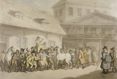 A Horse Sale in Hopkins